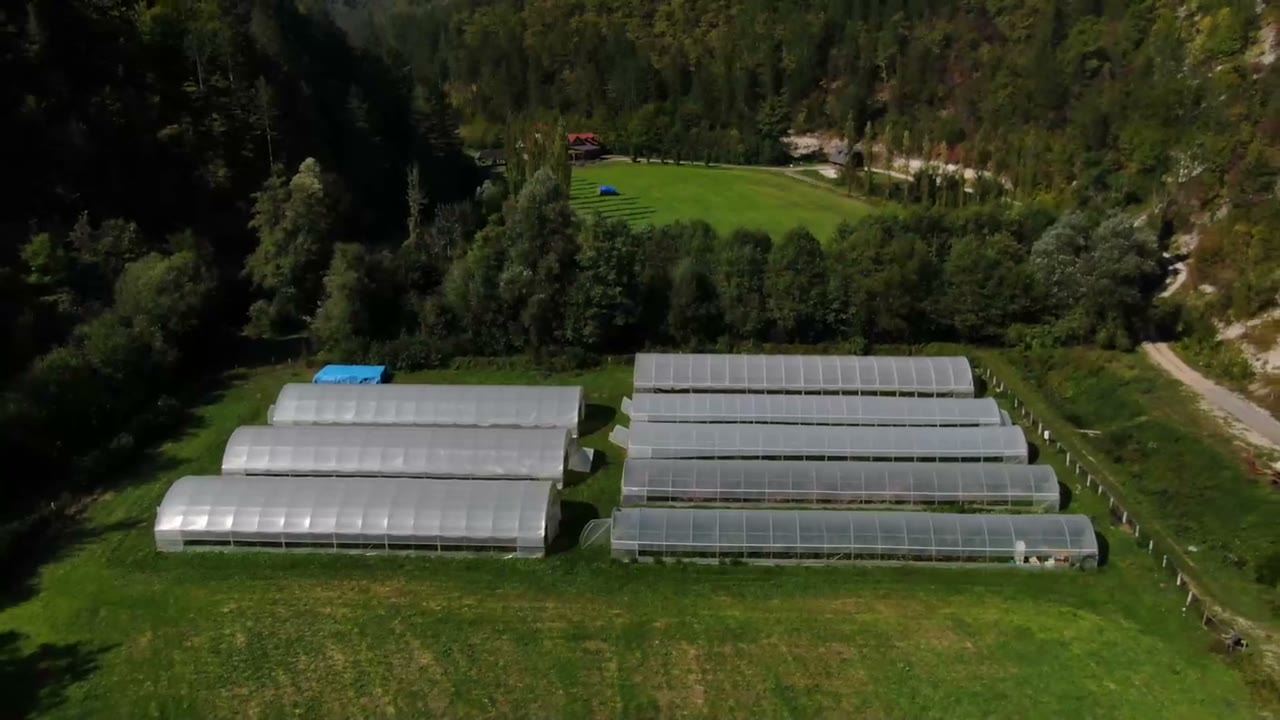 Органска производња Имање и повртњак Бараковац