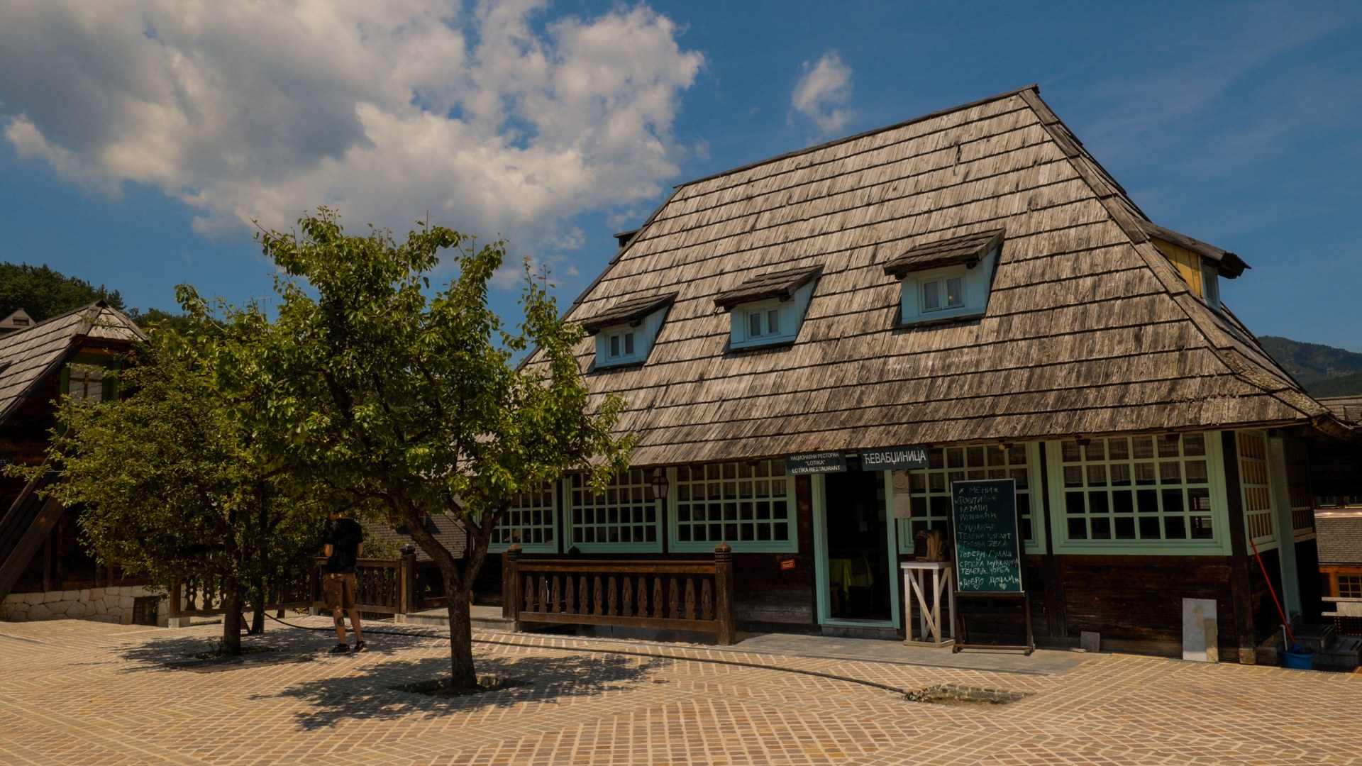 Лотика
